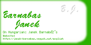 barnabas janek business card